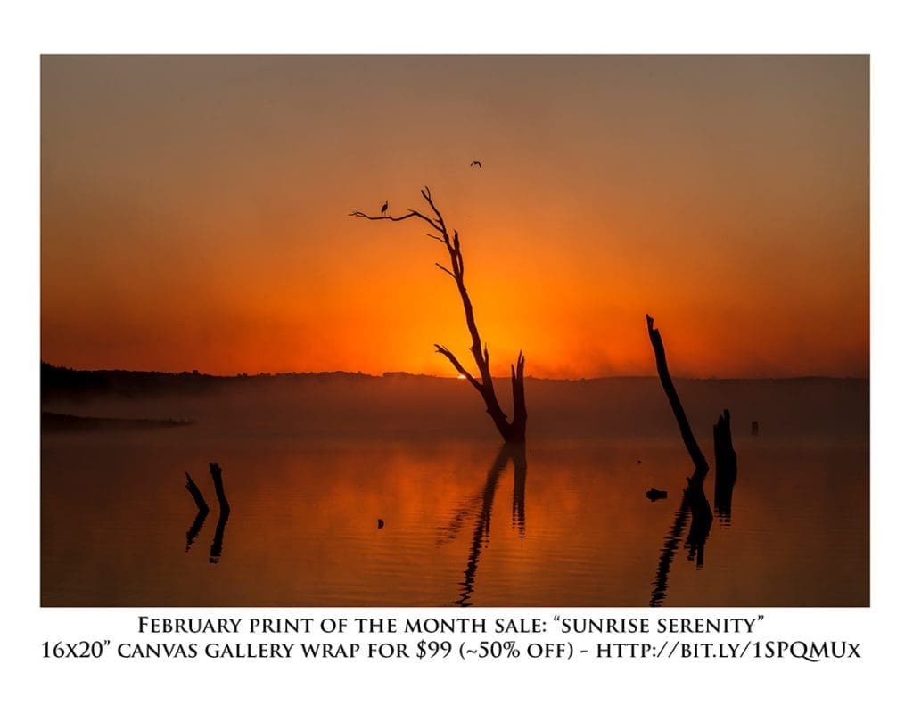February Print of the Month
